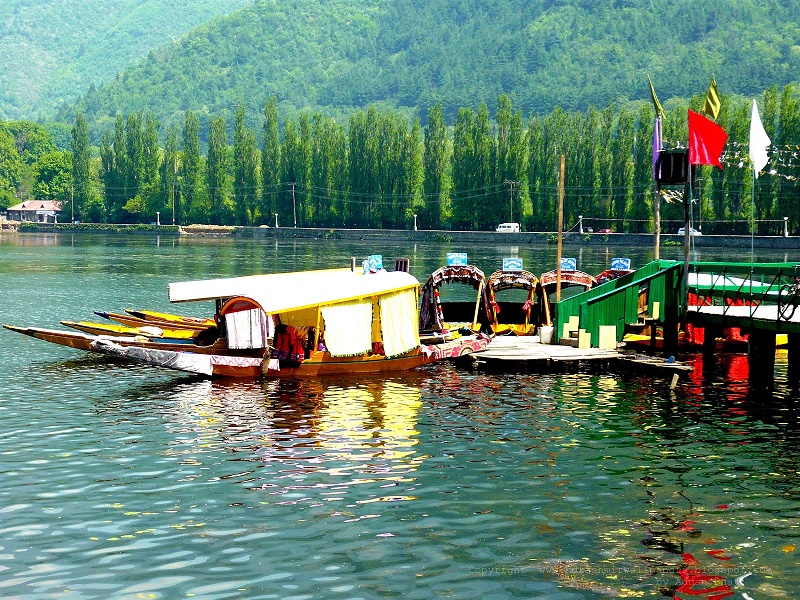 Amannat Tour & Travels - Best Tour & Travel Planner in Kashmir